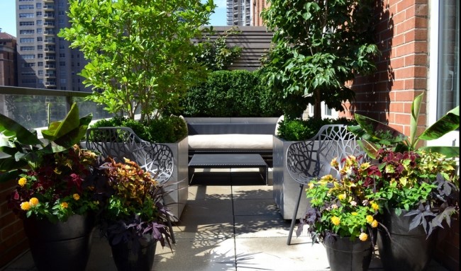 ����ũ��� ����