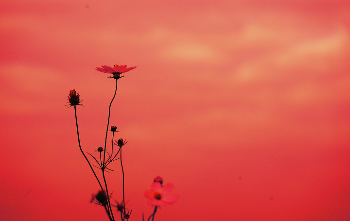 ����ũ��� ����