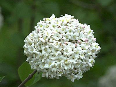 ����ũ��� ����