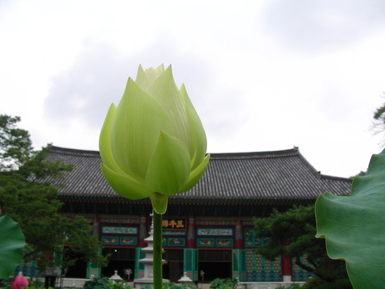 ����ũ��� ����