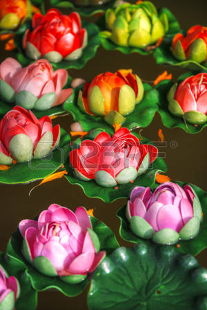 ����ũ��� ����