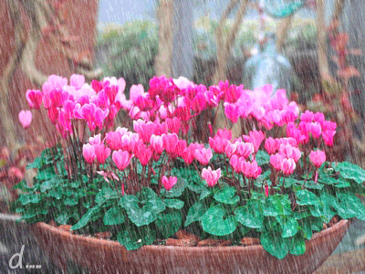 ����ũ��� ����