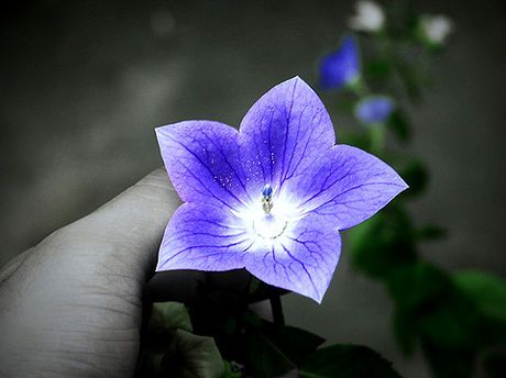 ����ũ��� ����