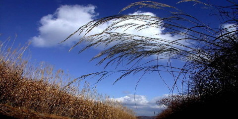 ����ũ��� ����