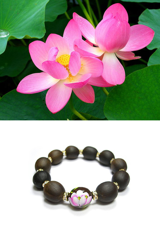 ����ũ��� ����