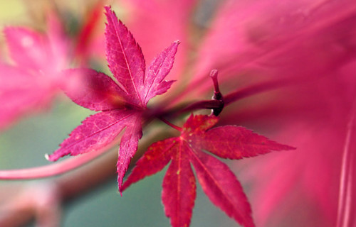 ����ũ��� ����