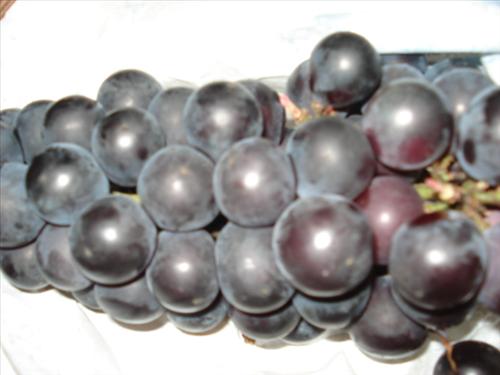 ����ũ��� ����