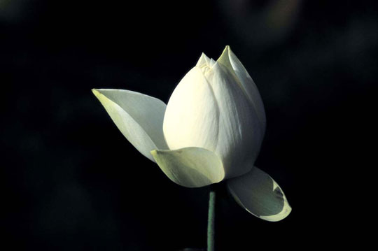 ����ũ��� ����