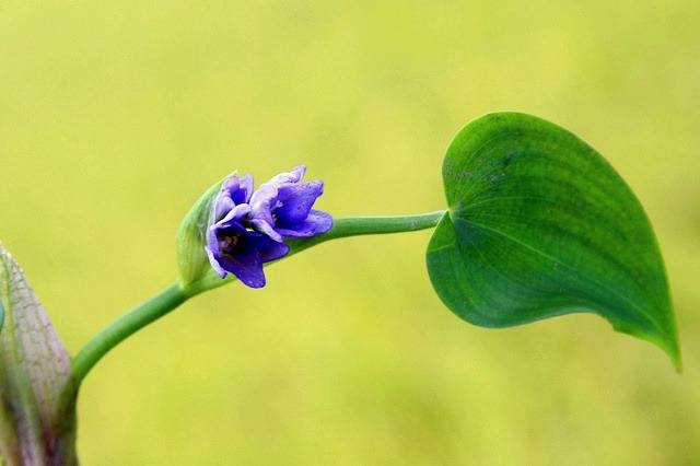 ����ũ��� ����