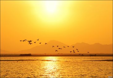 ����ũ��� ����