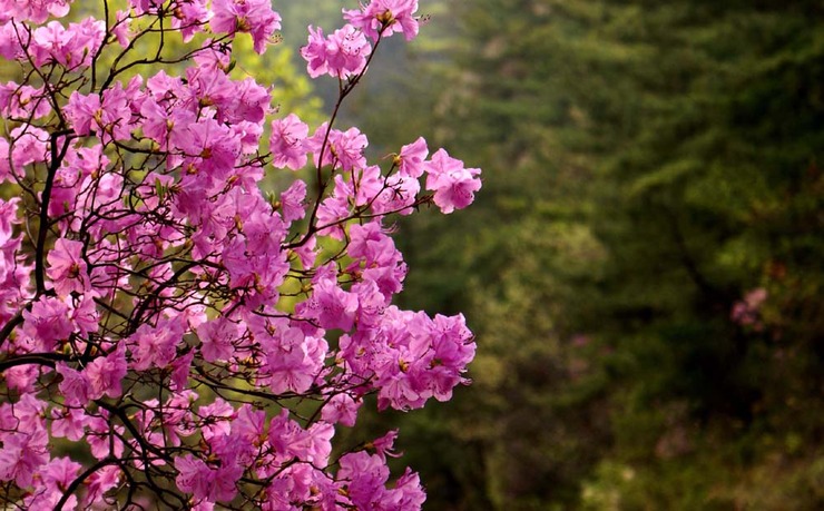 ����ũ��� ����