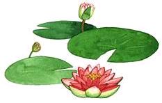 ����ũ��� ����