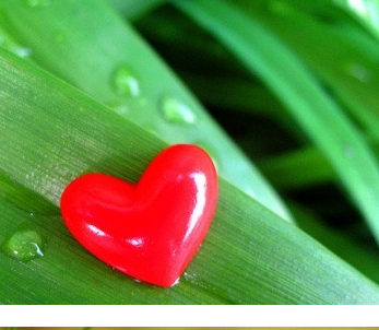 ����ũ��� ����