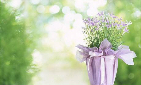 ����ũ��� ����