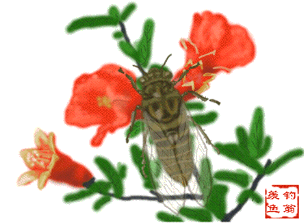 ����ũ��� ����