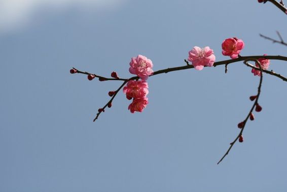 ����ũ��� ����