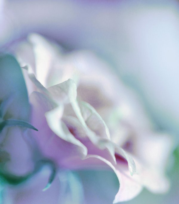 ����ũ��� ����