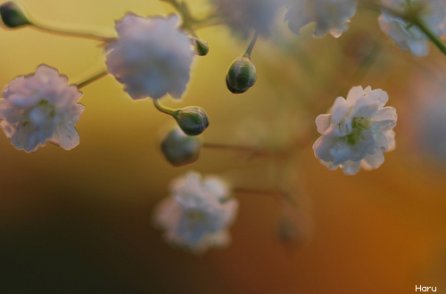 ����ũ��� ����