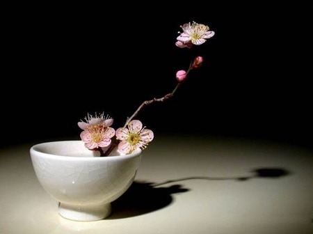 ����ũ��� ����