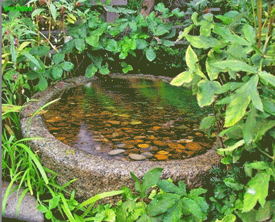 ����ũ��� ����