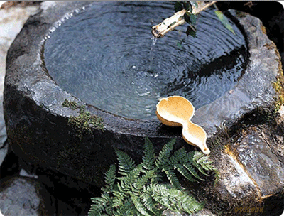 ����ũ��� ����