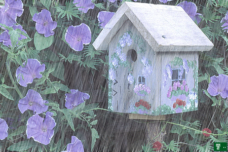 ����ũ��� ����