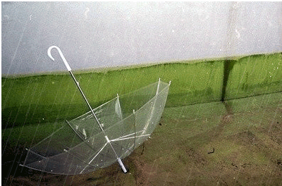 ����ũ��� ����