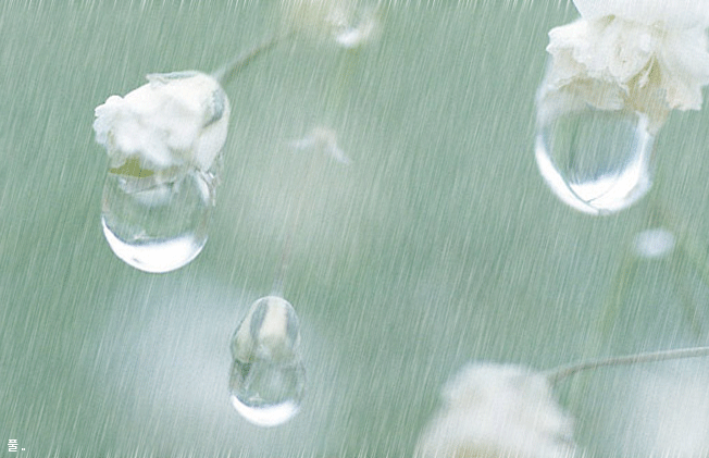 ����ũ��� ����