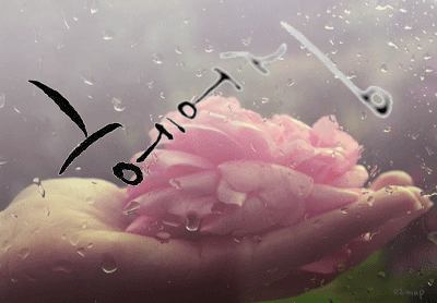 ����ũ��� ����