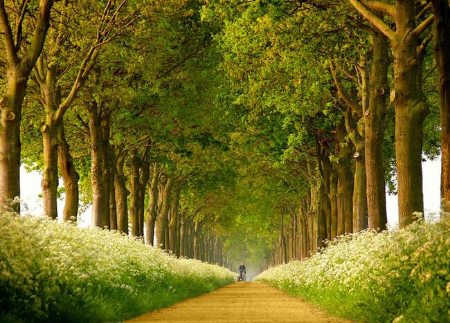 ����ũ��� ����