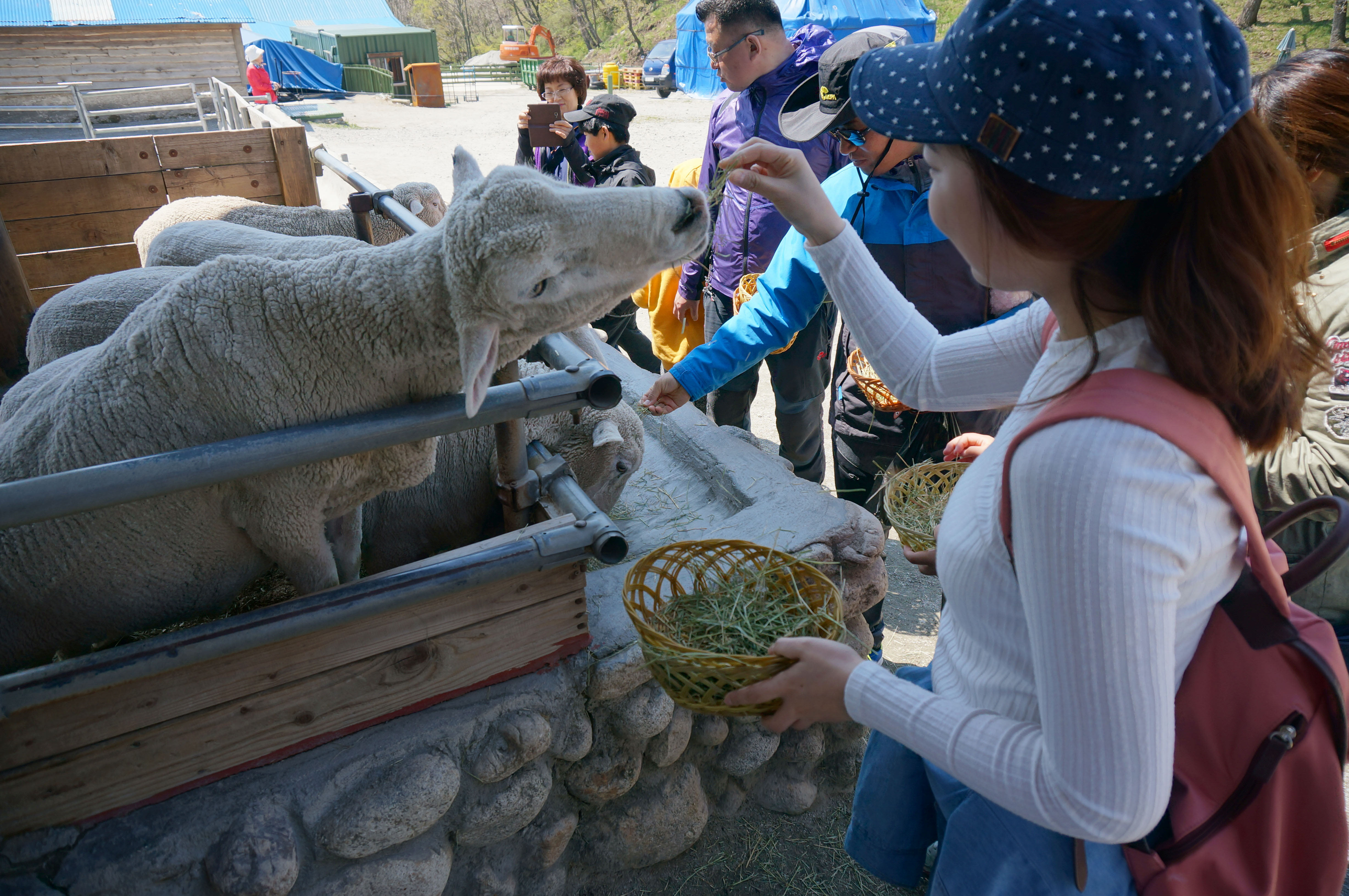 ����ũ��� ����