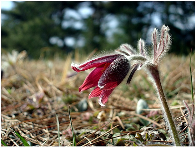 ����ũ��� ����