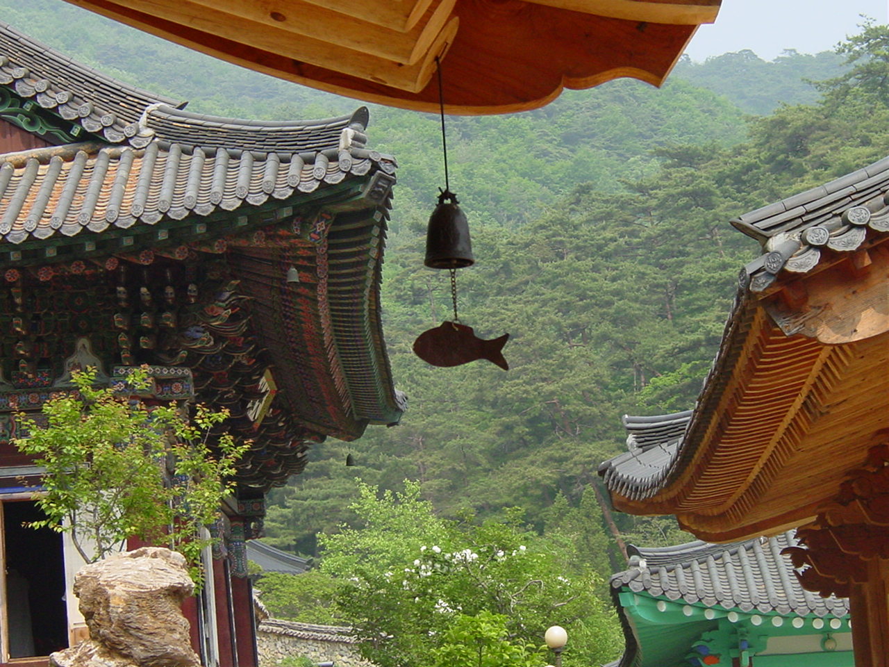 ����ũ��� ����