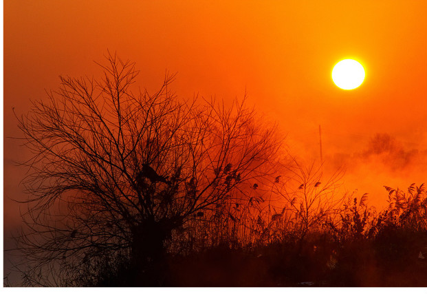 ����ũ��� ����