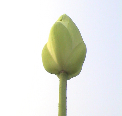 ����ũ��� ����