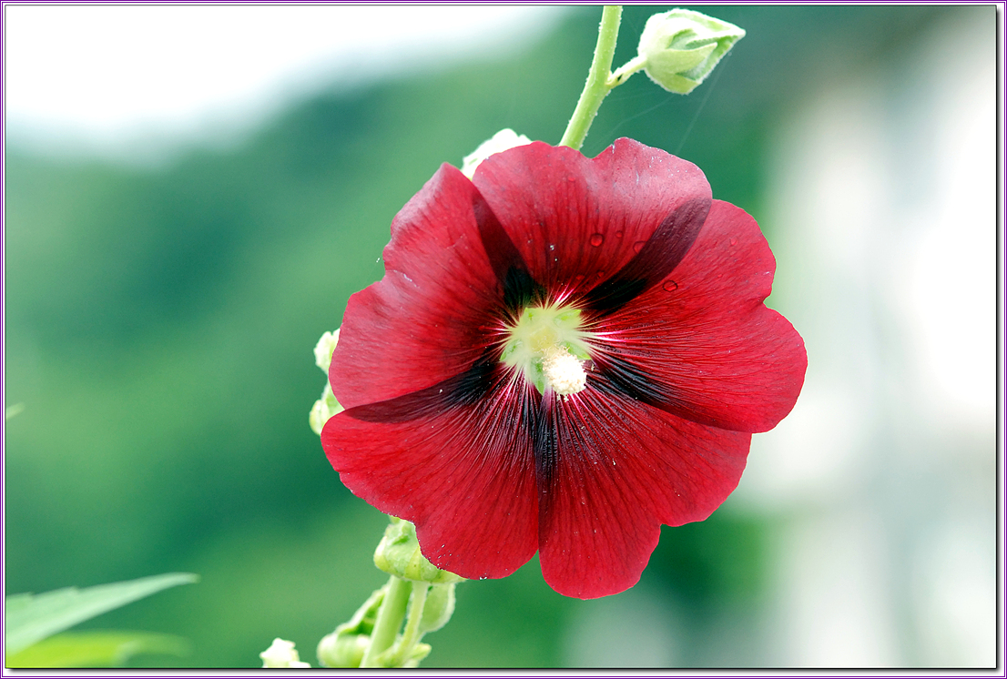 ����ũ��� ����