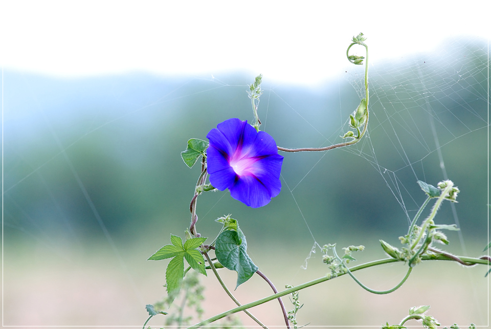 ����ũ��� ����