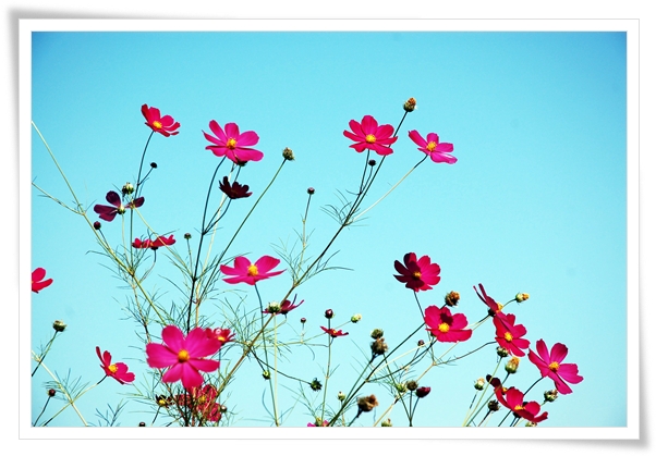 ����ũ��� ����