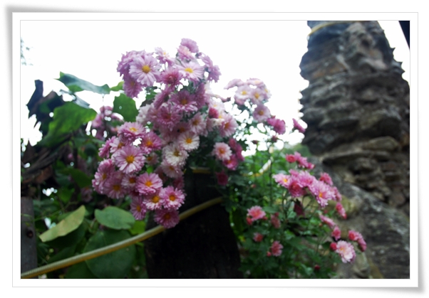 ����ũ��� ����