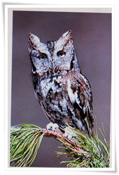 ����ũ��� ����