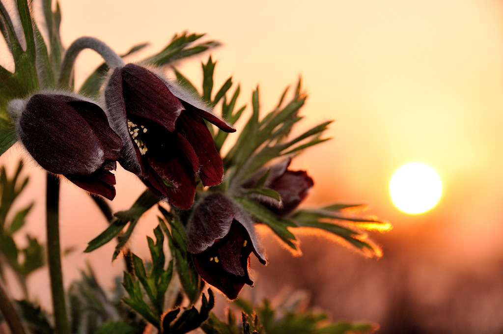 ����ũ��� ����