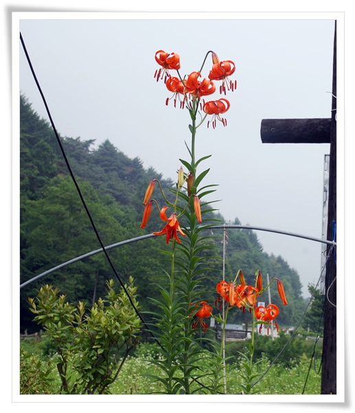 ����ũ��� ����