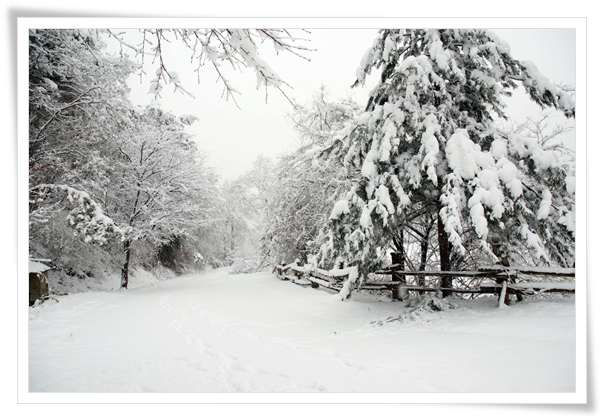 ����ũ��� ����