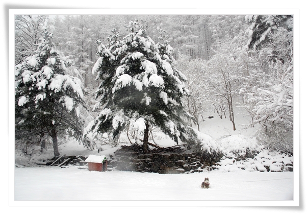 ����ũ��� ����