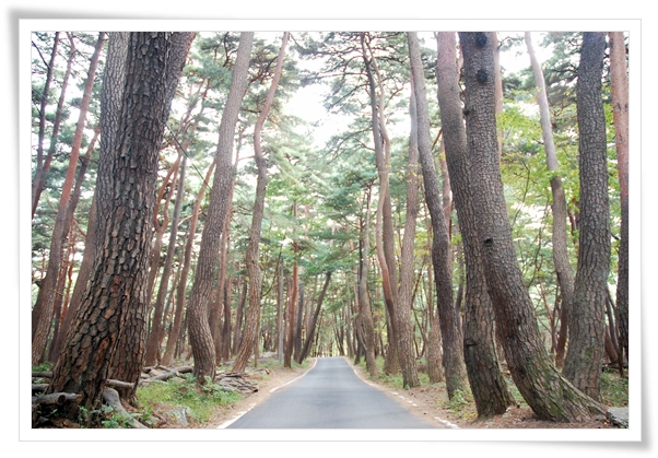 ����ũ��� ����