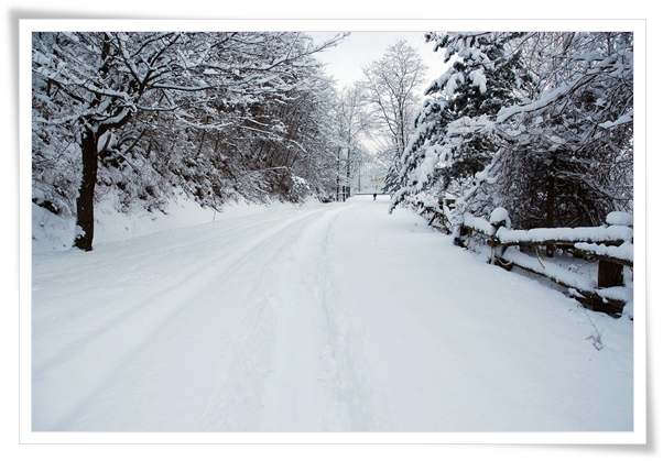 ����ũ��� ����