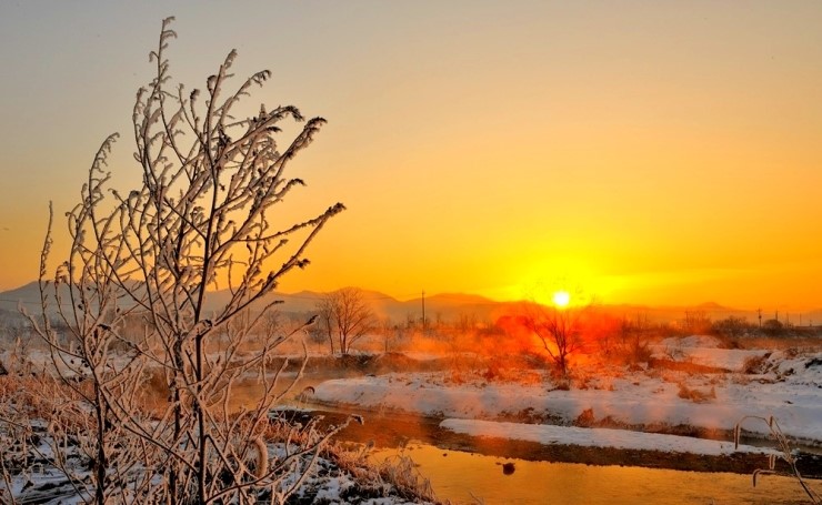 ����ũ��� ����