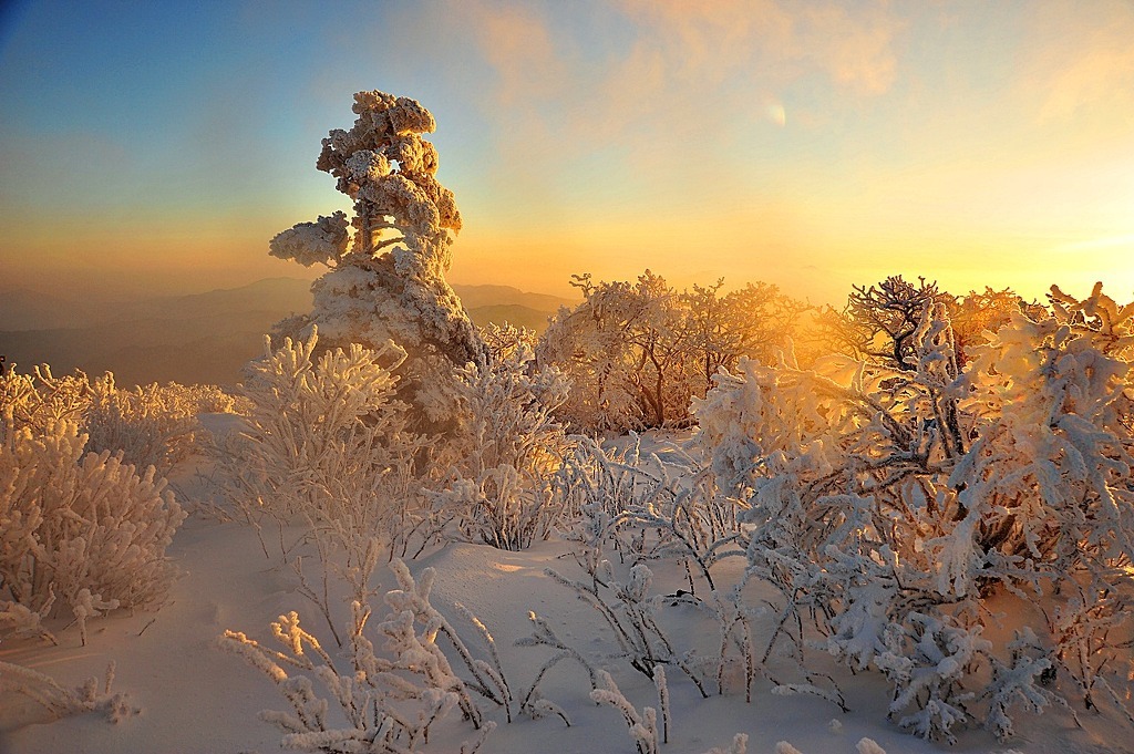 ����ũ��� ����