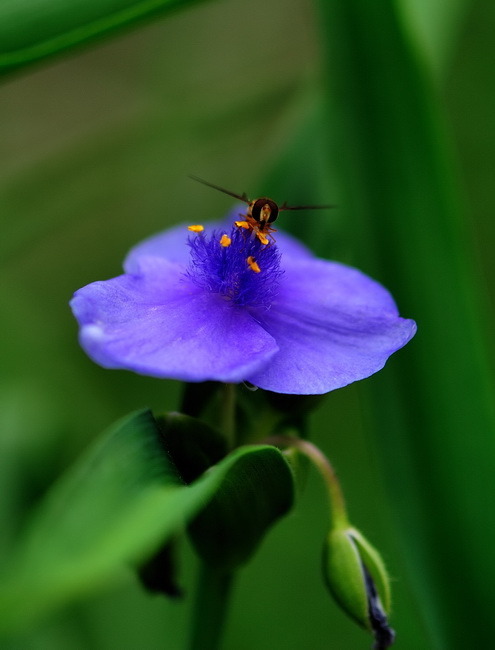 ����ũ��� ����