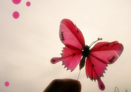 ����ũ��� ����